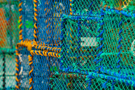 Lobster crates stored on land