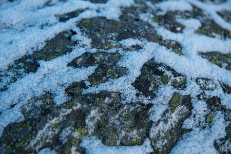 Ice crystals on stone in low sun lightの写真素材