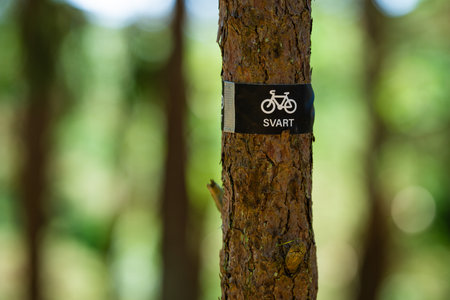 Black bike path marking on a tree in a forestの写真素材