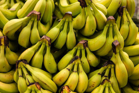 Large pile of yellow ripe bananasの写真素材