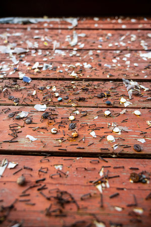 Staples and pins on a red notice boardの写真素材