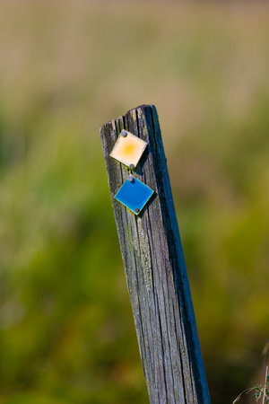 Yellow and blue trail markings at a pathの写真素材