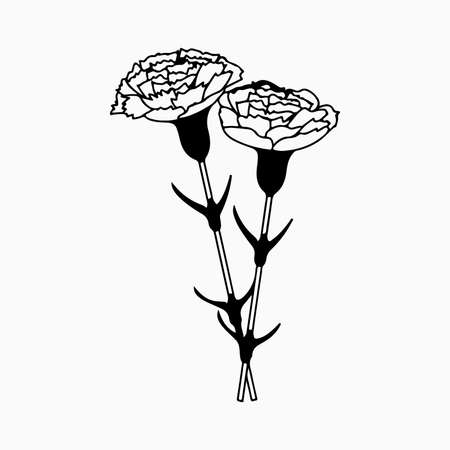 flower icon. Set of decorative carnation silhouettes isolated on white. Vector stock illustration.のイラスト素材