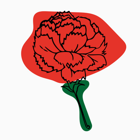 Beautiful red carnation isolated on white background. Hand-drawn with effect of drawing in watercolorのイラスト素材