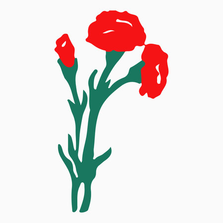 Beautiful red carnation isolated on white background. Hand-drawn with effect of drawing in watercolorのイラスト素材
