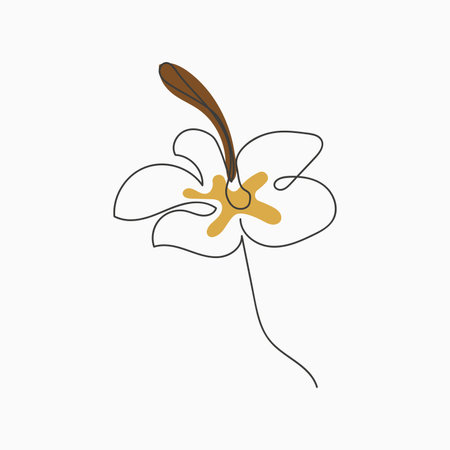 Hibiscus flower in one line art drawing style. Minimalist black line sketch on white background. vector illustrationのイラスト素材