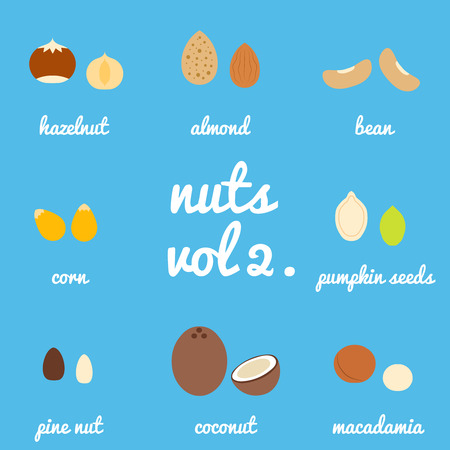 Vol 2. nuts and seeds icon set, background blueのイラスト素材