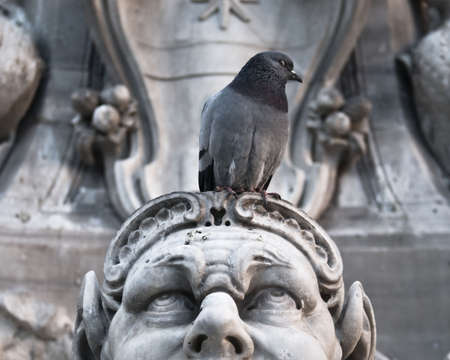 Pigeon sitting on a threatened sculptureの写真素材