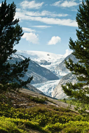 View of a mountain range with a glacier tongue and pines in the foregroundの写真素材