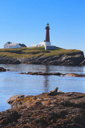 Lighthouse in the R&oslash,st arcipelago in Lofoten, Norway on a clare sunny, summer day with two seals posing in the foreground の写真素材