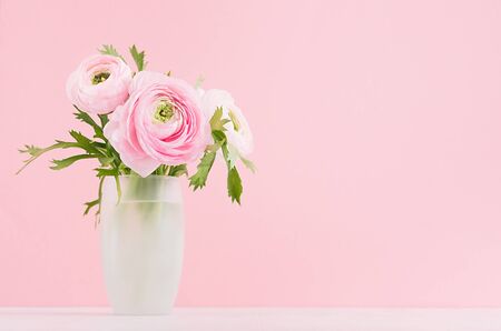 Fresh spring buttercup flower bouquet in exquisite glass vase on white wood table and pastel pink...