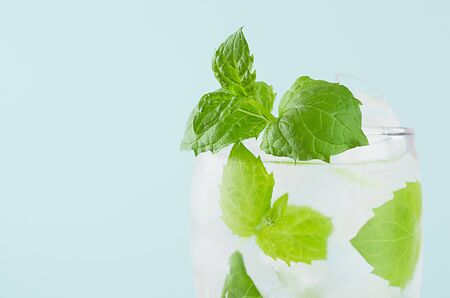 Bright cold transparent mint cocktail with green leaf, sparkling water, ice cubes in misted glass in...