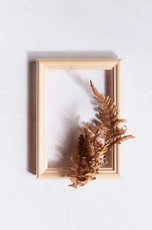 Autumn simple abstract background with dry brown fern leaf and blank photo frame in sun beam with shadow on white wood board, top view, vertical.の写真素材