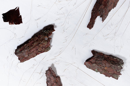 Simple modern organic abstract background with rough brown pieces bark and dry grass stems on white...