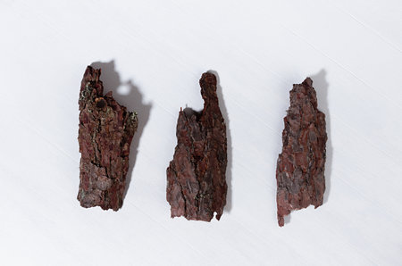 Pieces of old brown pine bark on white wooden board with shadow, top view, simple organic...