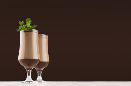 Exquisite chocolate layers dessert with fresh green mint in dark brown interior, copy space.の写真素材