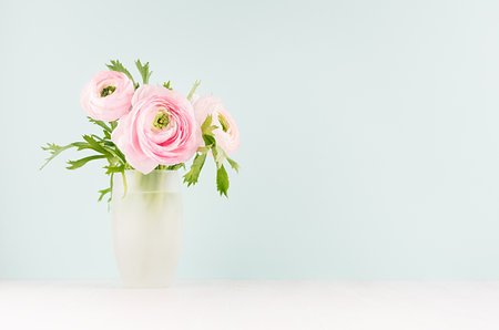 Delicate home decor with pink buttercup flowers on white wood table and mint color wall, background...