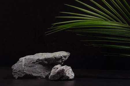Stone podium with green palm leaf at summer night for showing packaging and product on dark black background.の写真素材