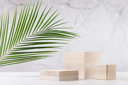 Wooden podiums with green palm leaf in sunlight on white wood table and marble wall. Fashion showcase for cosmetic products, goods, shoes, bags, watches.の写真素材