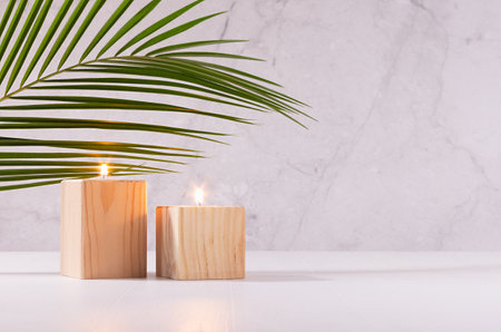 Burning candles in wood candlesticks with green palm leaf on white wood table, copy space.の写真素材