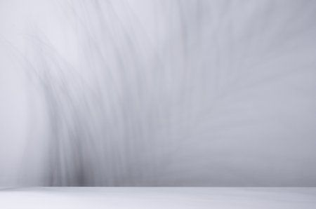 Light white gray wall in sunlight with striped palm leaf shadow and white floor, empty tropical summer background.の写真素材