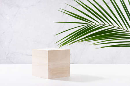 Summer modern showcase with cube wooden podium with green palm leaf in sunlight, shadow on white board, gray marble wall for cosmetics product display.の写真素材