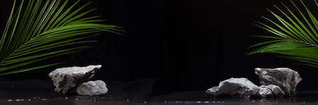 Luxury natural stone podium with green palm leaf and water as shore in jungle at night for showing...