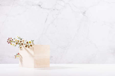 Wooden cube podium with twig of white spring flowers in white and gray marble interior with sun...