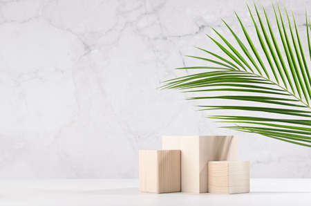Tropical design for presentation and product display - cube wood podiums with green palm leaf, sunlight and shadow on white wood table, marble wall in sunlight.の写真素材