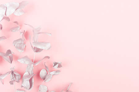 Fashion festive background of silver eucalyptus branches on pastel pink backdrop, top view, copy space.の写真素材