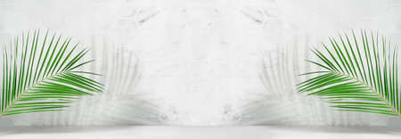 Green palm leaves in sunlight with shadow on white marble tile wall, wood table, copy space, bright tropical summer banner for display of produce.の写真素材