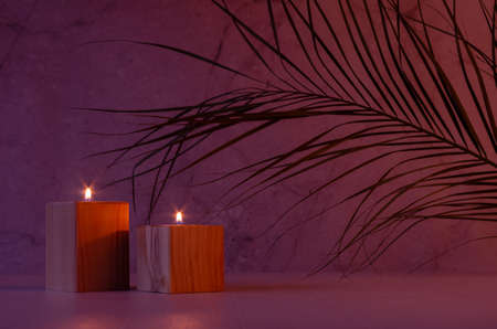 Beautiful asian home decor with burning candles and palm leaf in warm purple and orange evening...