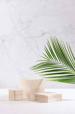 Wooden beige podiums with green palm leaf in soft light white interior with marble wall for display and presentation produce, cosmetics, vertical.の写真素材