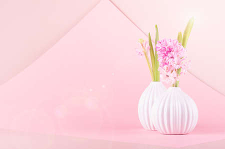 Elegant tender pink hyacinth bouquet for mothers day in ceramic vase with sunlight, sun flares on pastel pink background in minimalist geometric style, copy space.の写真素材