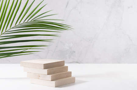 Natural wood podium with green palm leaf in white and gray marble interior with sunlight and shadow....