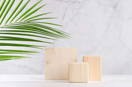 Set of natural wood square podiums with green palm leaf in white and gray marble interior with sunlight and shadow. Showcase for cosmetic products, goods, shoes, bags, watches.の写真素材
