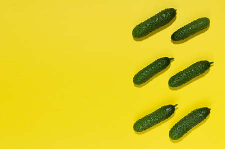 Vegetable colorful abstract pattern - green young cucumber with shadow as border on yellow background, top view, copy space.の写真素材