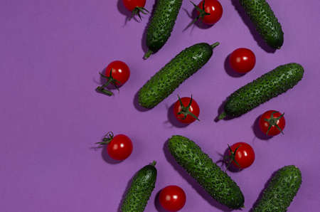 Bright cherry tomatoes and green gherkin cucumber as border in hard light with shadow on violet background, flat lay, copy space. Food colorful pattern.の写真素材