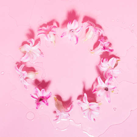 Romantic pink hyacinth flowers with water drops as round frame with blank space for text, top view, square. Fresh spring floral background.の写真素材