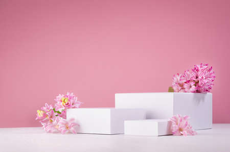 Set of three white podiums for presentation cosmetics produce with fresh spring flowers on pastel pink background.の写真素材
