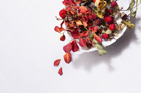 Autumn background with red dried leaves rosehip and berries in leaf bowl with shadow on white wood table, top view, closeup.の写真素材