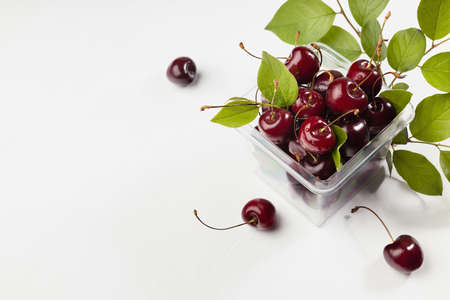 Summer takeaway food - wet ripe red fresh cherry in plastic box with green leaves on white wood...