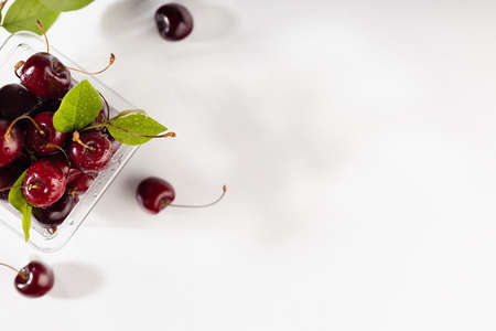 Fruit summer snack - fresh wet ripe red cherries with green leaves in transparent box package in soft light white wood board, top view, copy space, border.の写真素材
