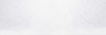 Christmas banner with frosty white branches in hoar, shiny bright snowflakes as soft light delicate fairy winter forest, copy space, frame for design, website, header, presentation, displaying.の写真素材