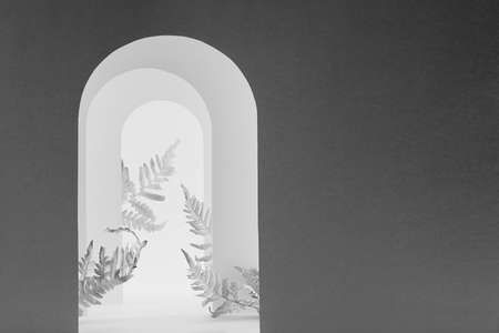 White and gray shadow stage mockup with silhouette arches as gate, leaves for presentation cosmetic product, design, advertising in simple geometric style, floral natural abstract garden.の写真素材