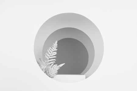 Abstract white stage with rectangle podium, frames of white circles, white fern leaves, perspective, shadows, scene mockup in simple soft light floral style for presentation cosmetic product or goods.の写真素材