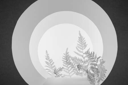 Abstract white, dark gray stage with pedestal, white branches, tunnel of round arches, light, perspective, silhouette, scene mockup in delicate garden style for presentation cosmetic product, goods.の写真素材