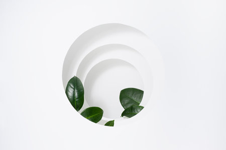 Abstract fresh floral summer scene template for presentation cosmetic product, design, advertising with white round frames as gate or niche with perspective, green tropical leaves, sunlight, shadows.の写真素材