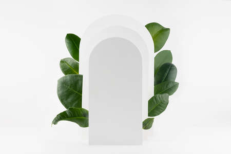 Spring fresh abstract stage mockup for presentation cosmetic product, goods, design, advertising with soft light white rectangle rounded arches, ficus tropical green leaves in sunlight, shadows.の写真素材