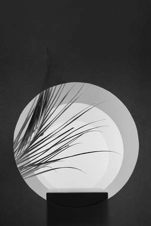 White, dark gray scene with rectangle black stand, dry reed, round arches, light, silhouette, stage template in elegant abstract garden style for presentation, display, showing product, vertical.の写真素材